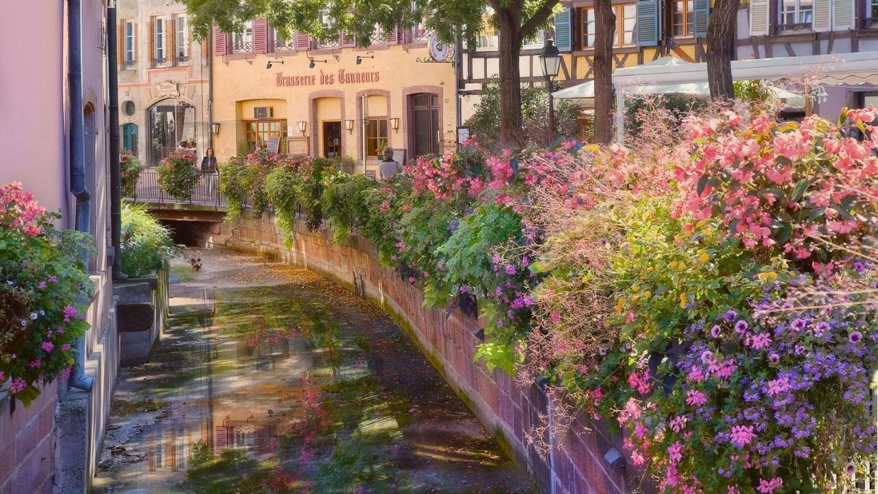 Residences Du Theatre Colmar Zewnętrze zdjęcie